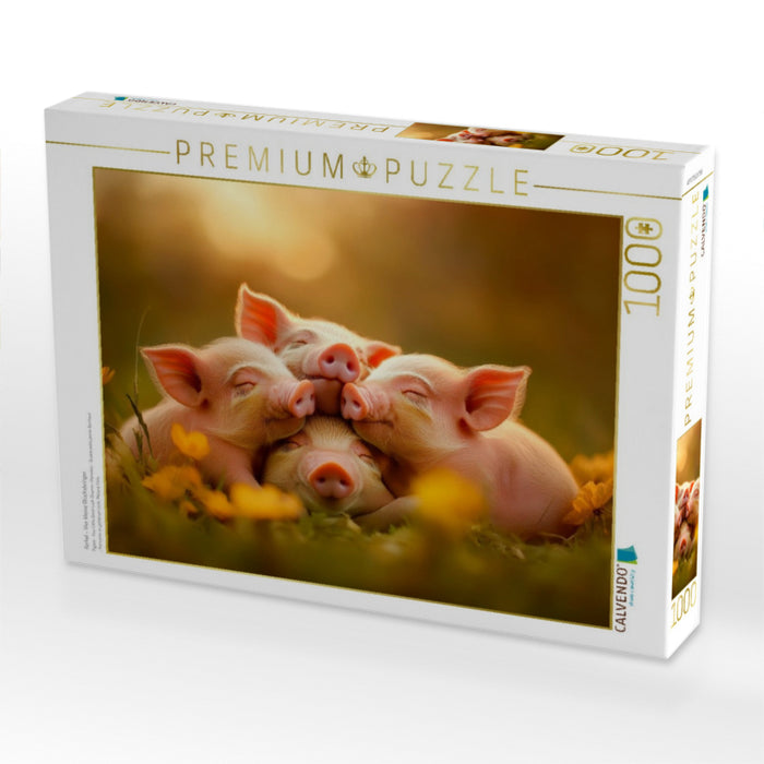 Ferkel - Vier kleine Glücksbringer - CALVENDO Foto-Puzzle'