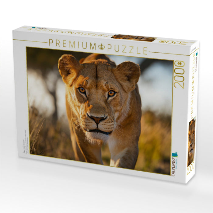 Jägerin der Savanne - CALVENDO Foto-Puzzle'