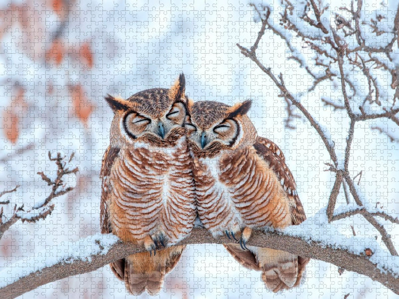 Eulenpaar im Schneewald - CALVENDO Foto-Puzzle'