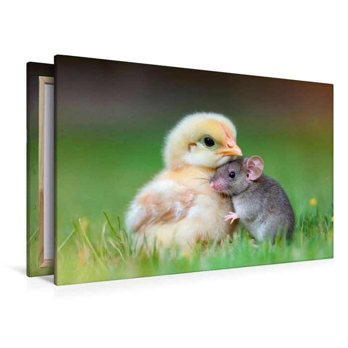 Premium Textil-Leinwand Küken und Maus - Ungewöhnliche Freundschaft