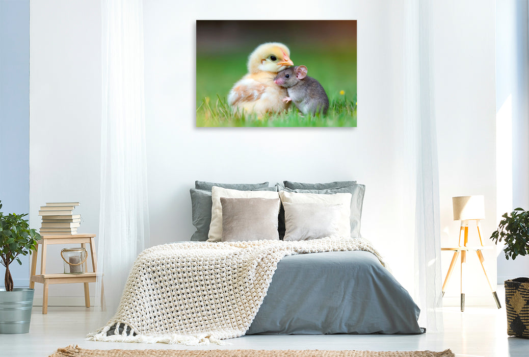 Premium Textil-Leinwand Küken und Maus - Ungewöhnliche Freundschaft