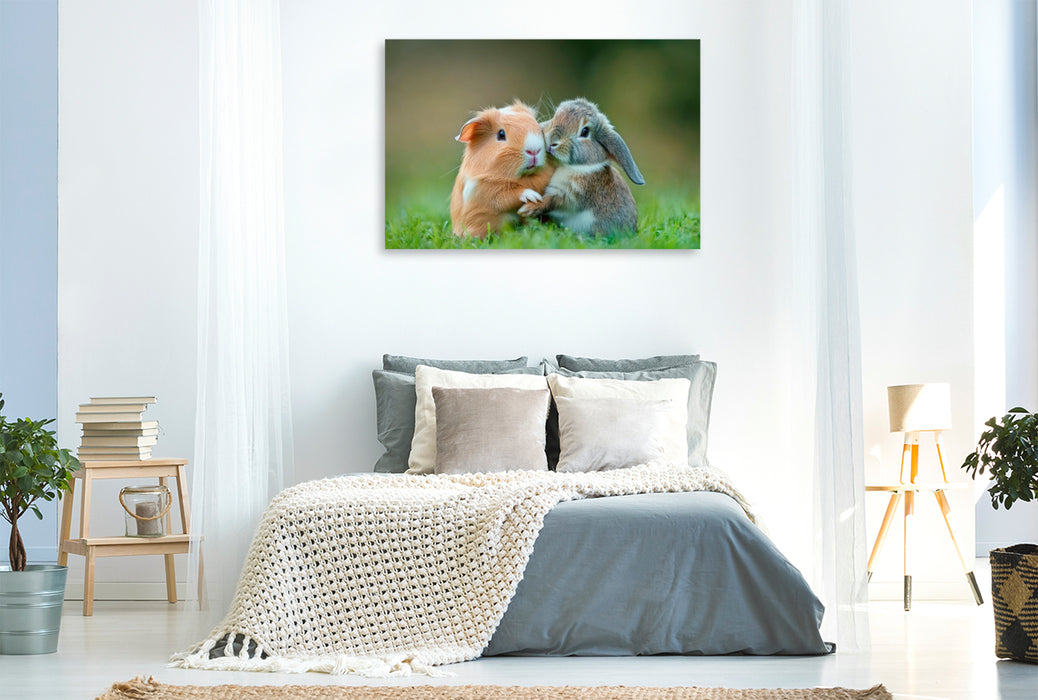Premium Textil-Leinwand Meerschweinchen und Kaninchen - Sanfte Seelen