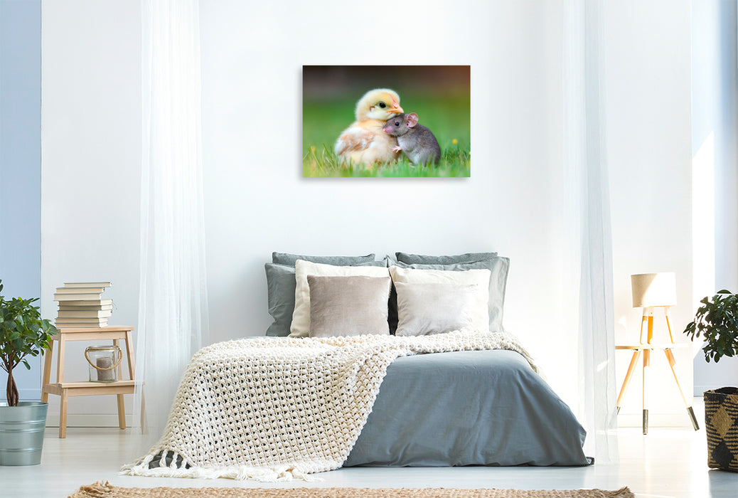 Premium Textil-Leinwand Küken und Maus - Ungewöhnliche Freundschaft