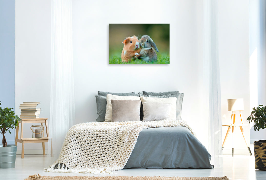 Premium Textil-Leinwand Meerschweinchen und Kaninchen - Sanfte Seelen