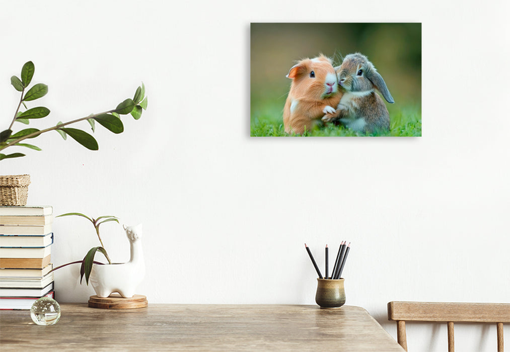 Premium Textil-Leinwand Meerschweinchen und Kaninchen - Sanfte Seelen