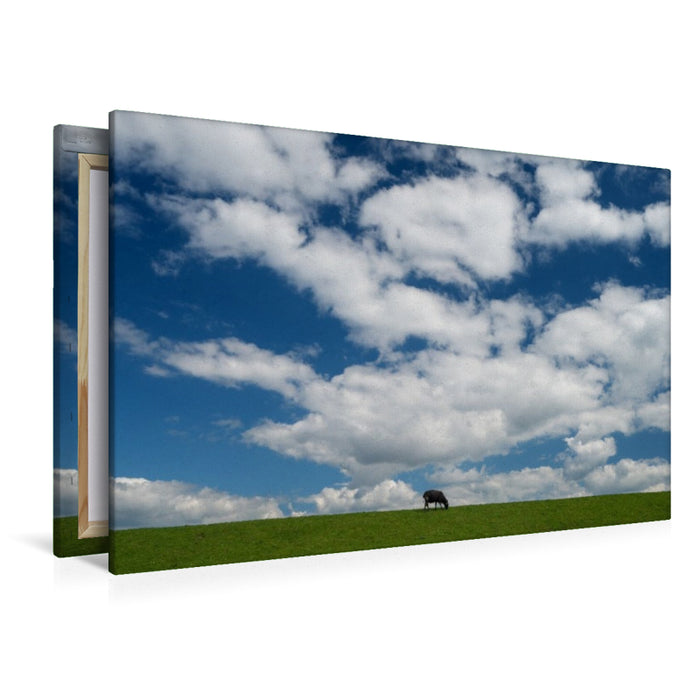 Premium Textil-Leinwand Dangaster Deichschaf