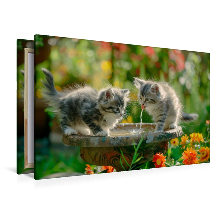 Premium Textil-Leinwand Katzenbabys - Kleine Entdecker am Vogelbad