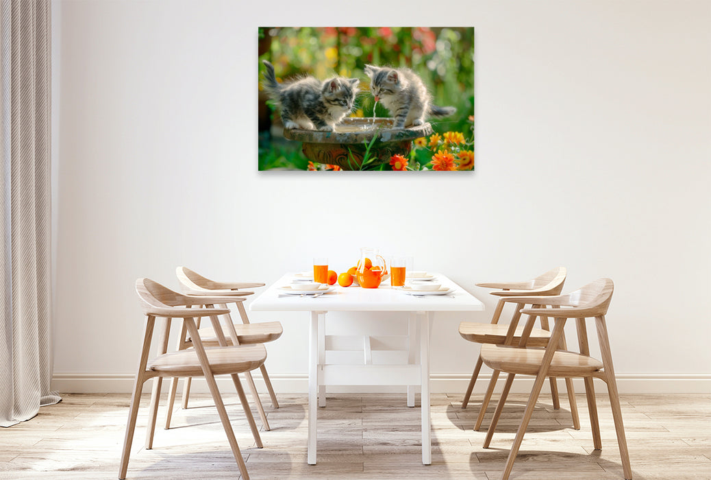 Premium Textil-Leinwand Katzenbabys - Kleine Entdecker am Vogelbad