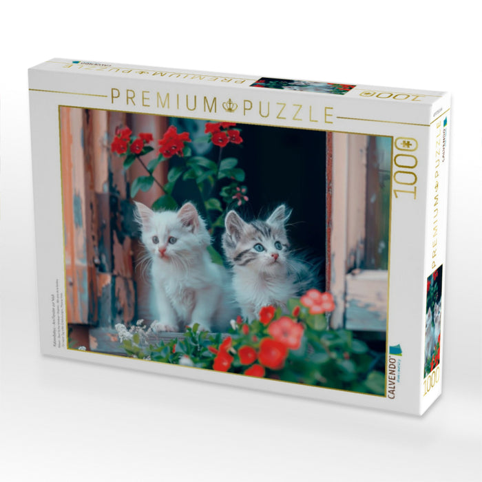 Katzenbabys - Am Fenster zur Welt - CALVENDO Foto-Puzzle'