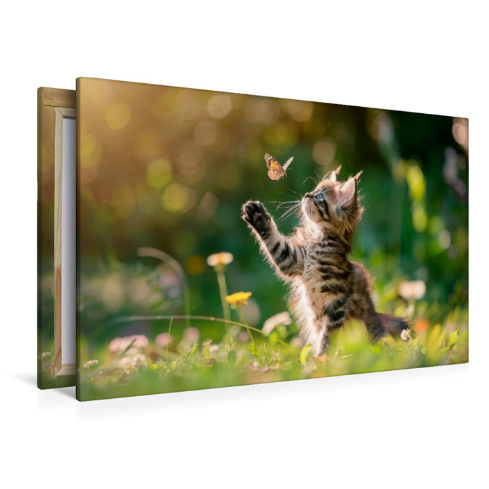 Premium Textil-Leinwand Katzenbaby - Sommermärchen auf vier Pfoten