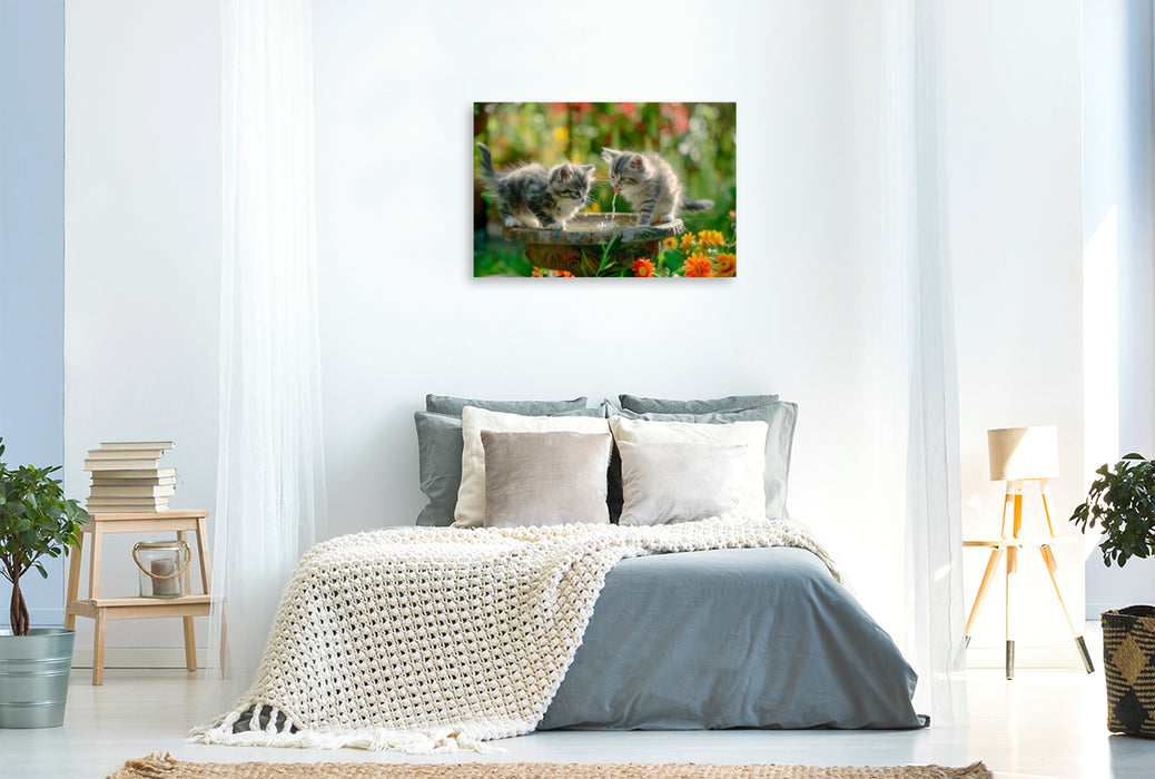 Premium Textil-Leinwand Katzenbabys - Kleine Entdecker am Vogelbad