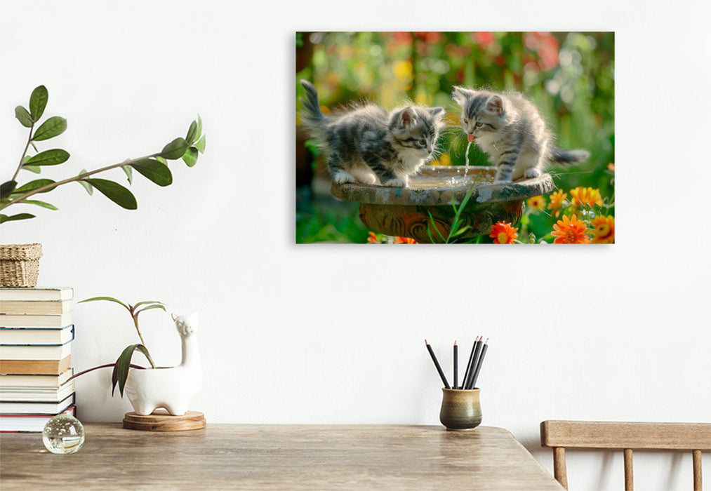 Premium Textil-Leinwand Katzenbabys - Kleine Entdecker am Vogelbad