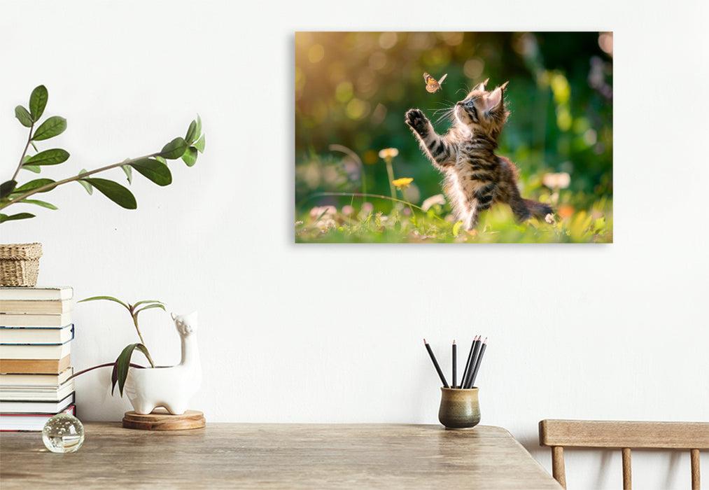Premium Textil-Leinwand Katzenbaby - Sommermärchen auf vier Pfoten