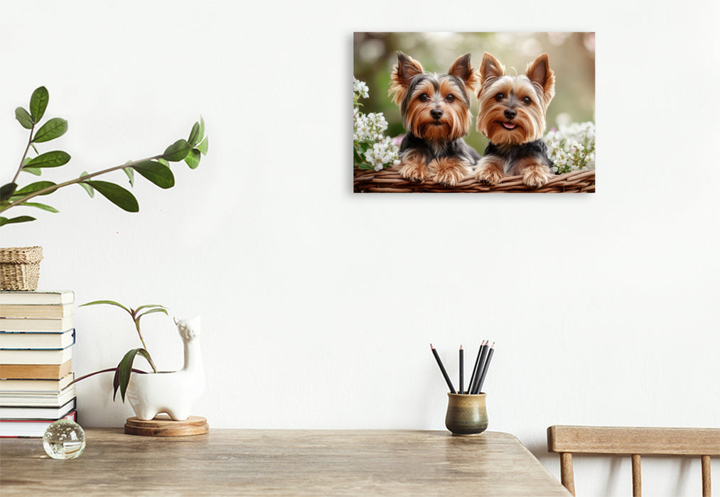 Premium Textil-Leinwand Yorkshire Terrier - Ein Korb voller Freude