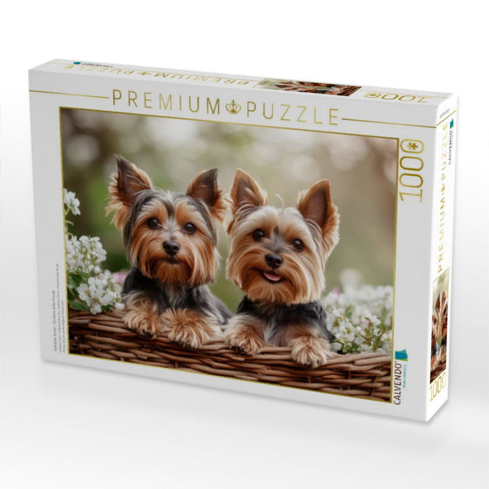 Yorkshire Terrier - Ein Korb voller Freude - CALVENDO Foto-Puzzle'