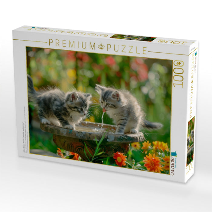 Katzenbabys - Kleine Entdecker am Vogelbad - CALVENDO Foto-Puzzle'