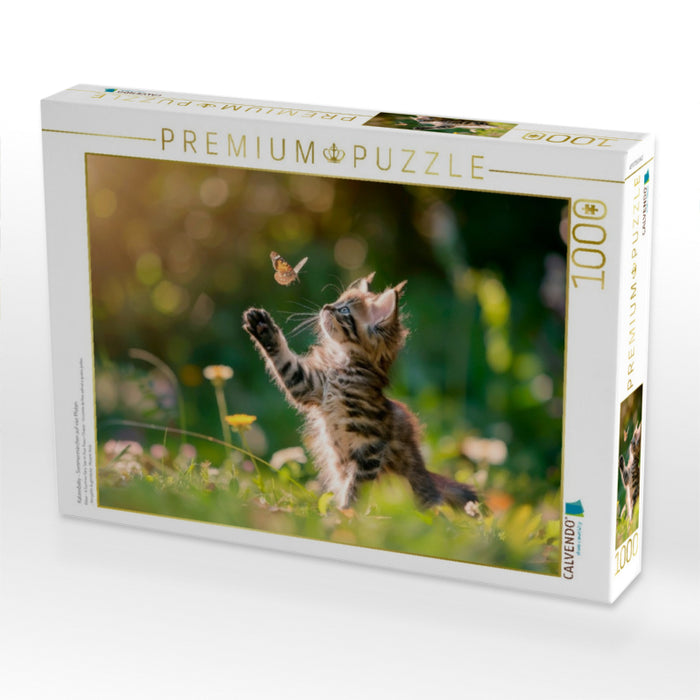 Katzenbaby - Sommermärchen auf vier Pfoten - CALVENDO Foto-Puzzle'
