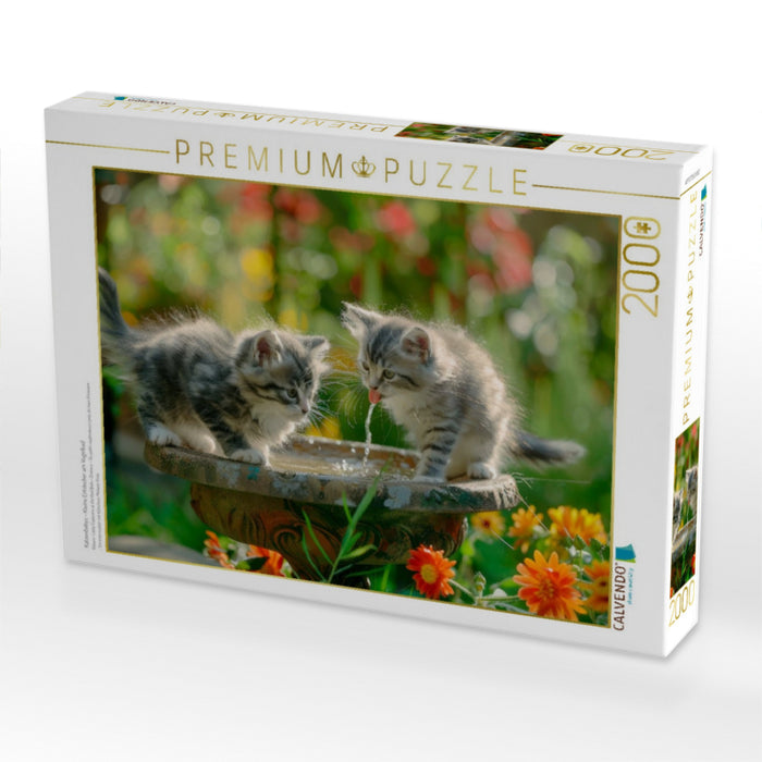 Katzenbabys - Kleine Entdecker am Vogelbad - CALVENDO Foto-Puzzle'
