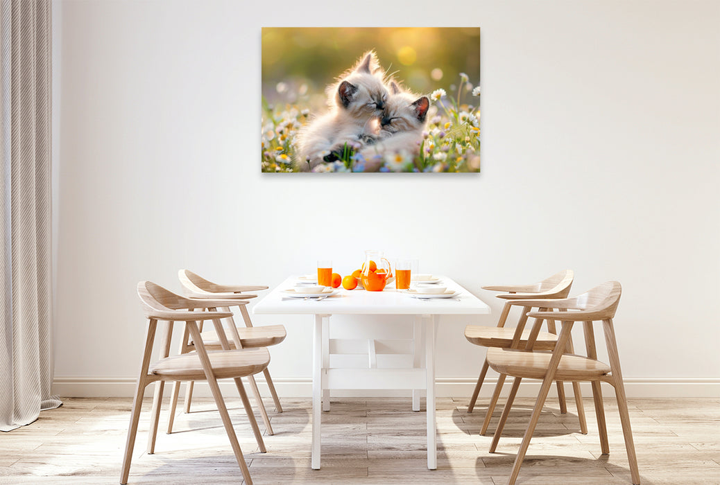 Premium Textil-Leinwand Katzenbabys - Im Zauber des Augenblicks