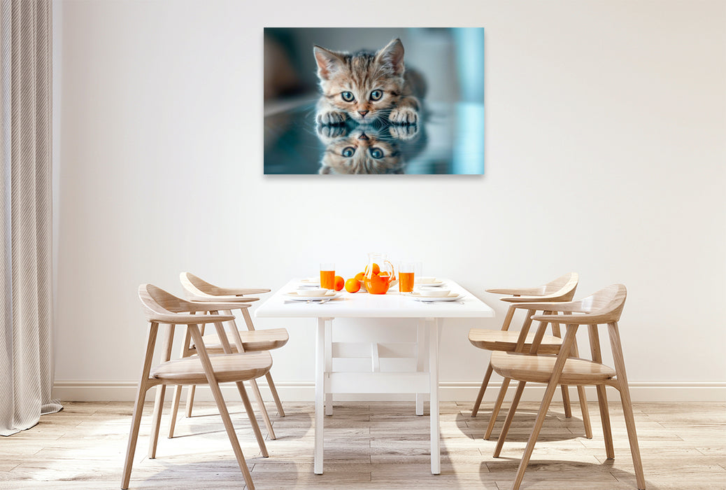 Premium Textil-Leinwand Katzenbaby - Spiegelbild des Glücks