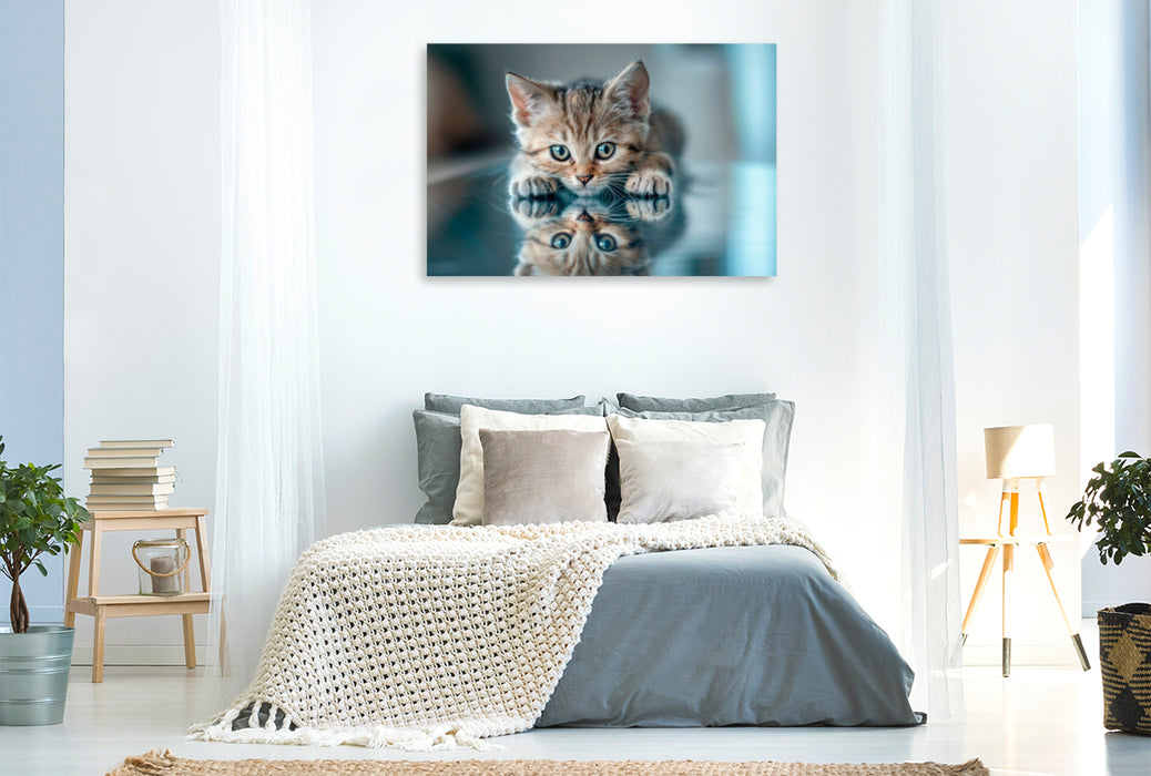Premium Textil-Leinwand Katzenbaby - Spiegelbild des Glücks
