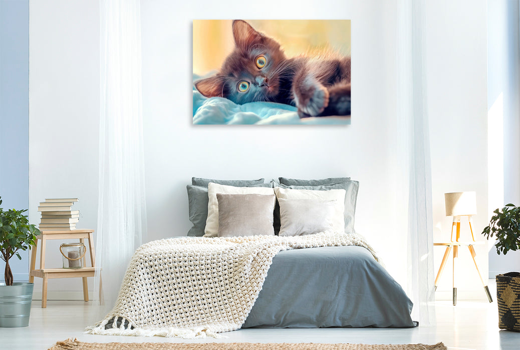 Premium Textil-Leinwand Katzenkinder