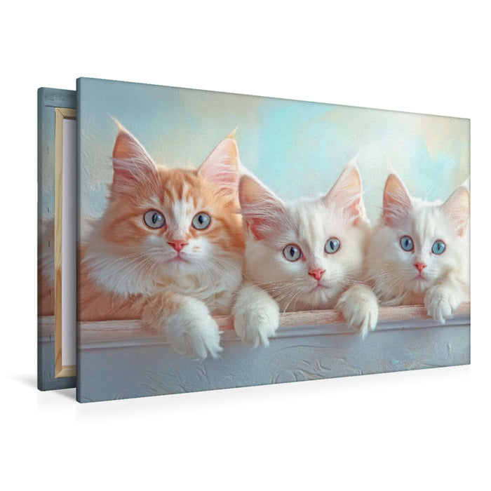 Premium Textil-Leinwand Katzenkinder