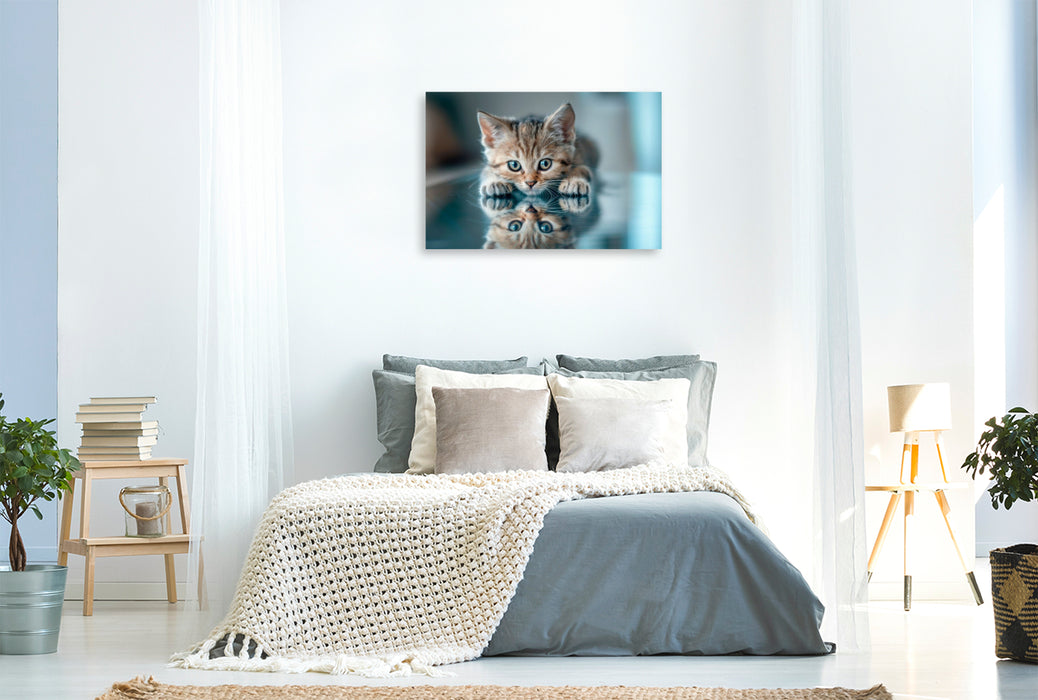 Premium Textil-Leinwand Katzenbaby - Spiegelbild des Glücks