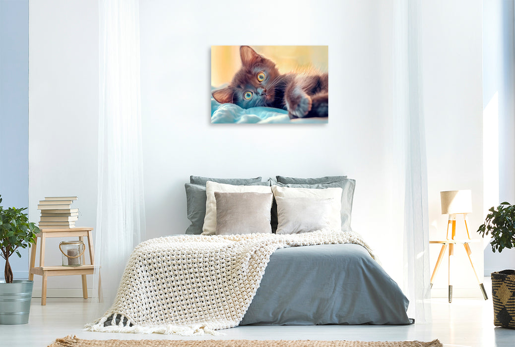 Premium Textil-Leinwand Katzenkinder