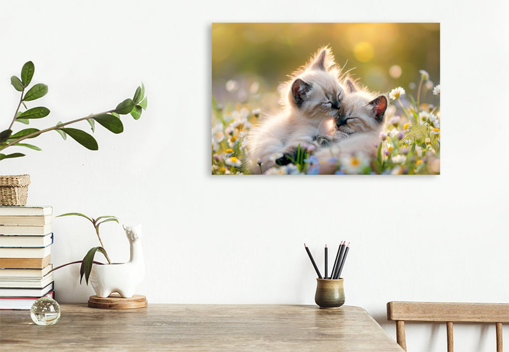 Premium Textil-Leinwand Katzenbabys - Im Zauber des Augenblicks