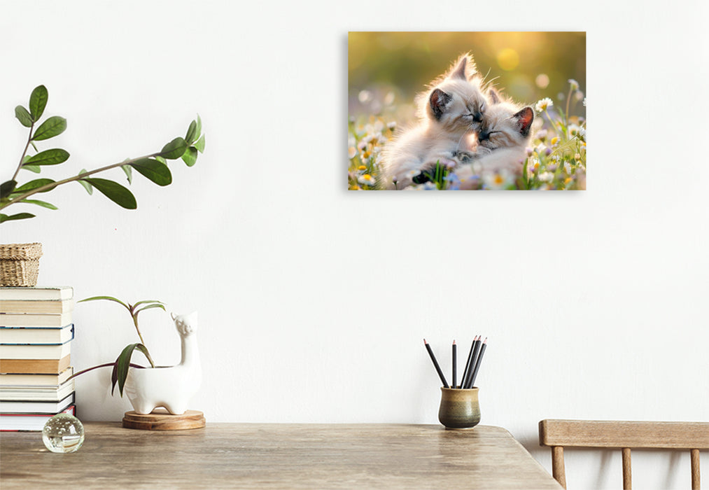 Premium Textil-Leinwand Katzenbabys - Im Zauber des Augenblicks