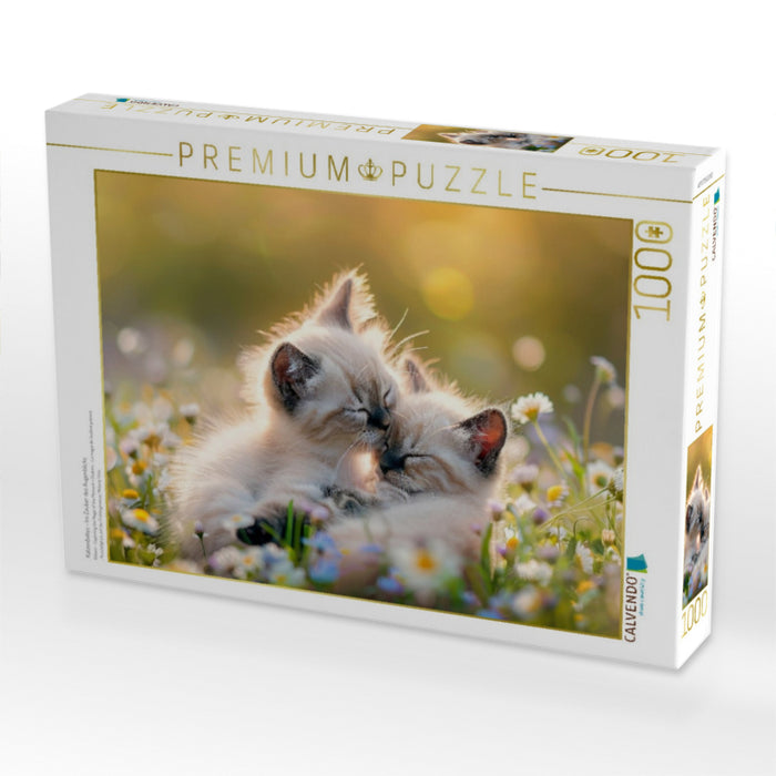 Katzenbabys - Im Zauber des Augenblicks - CALVENDO Foto-Puzzle'