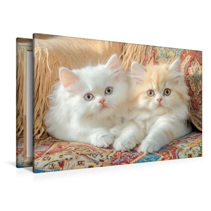 Premium Textil-Leinwand Katzenkinder