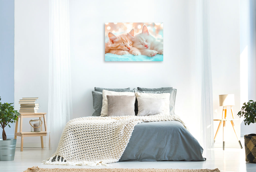 Premium Textil-Leinwand Katzenkinder