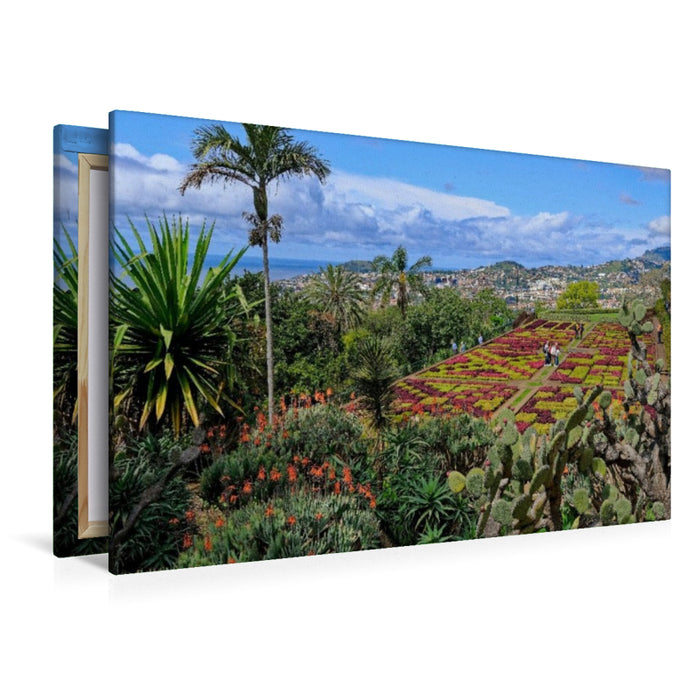 Premium Textil-Leinwand Ein Motiv aus dem Kalender Madeiras Blütenzauber