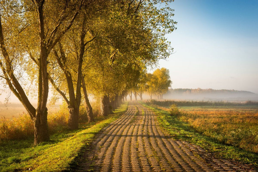 Premium Textil-Leinwand Feldweg am Herbstmorgen