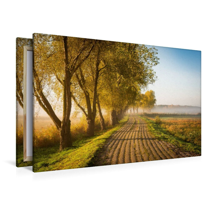 Premium Textil-Leinwand Feldweg am Herbstmorgen