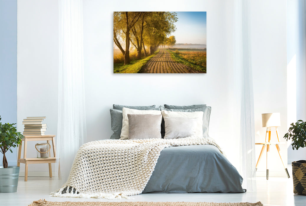 Premium Textil-Leinwand Feldweg am Herbstmorgen