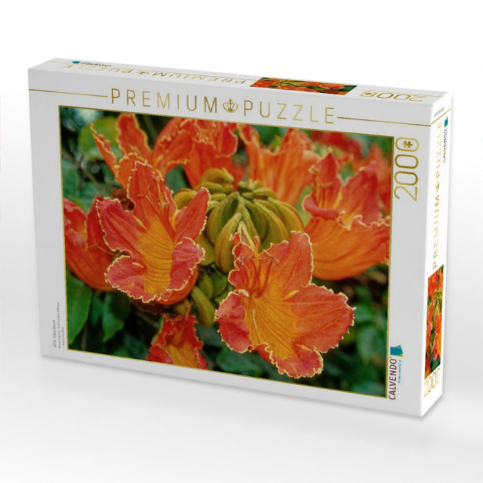 Afrik. Tulpenbaum - CALVENDO Foto-Puzzle'
