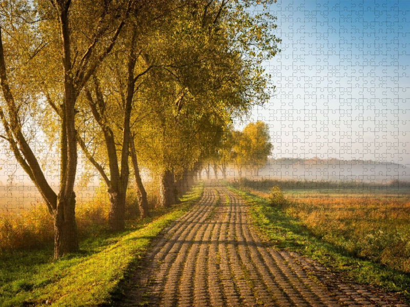 Feldweg am Herbstmorgen - CALVENDO Foto-Puzzle'
