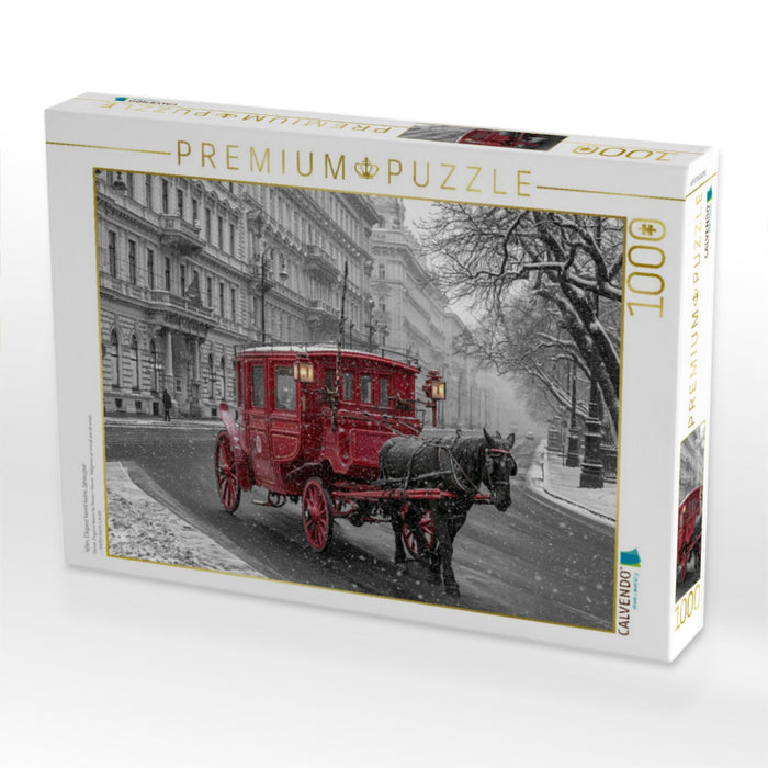 Wien, Eleganz kennt keine Jahreszeit - CALVENDO Foto-Puzzle'