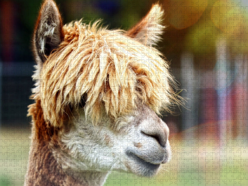 Friseur? Was ist das? - CALVENDO Foto-Puzzle'