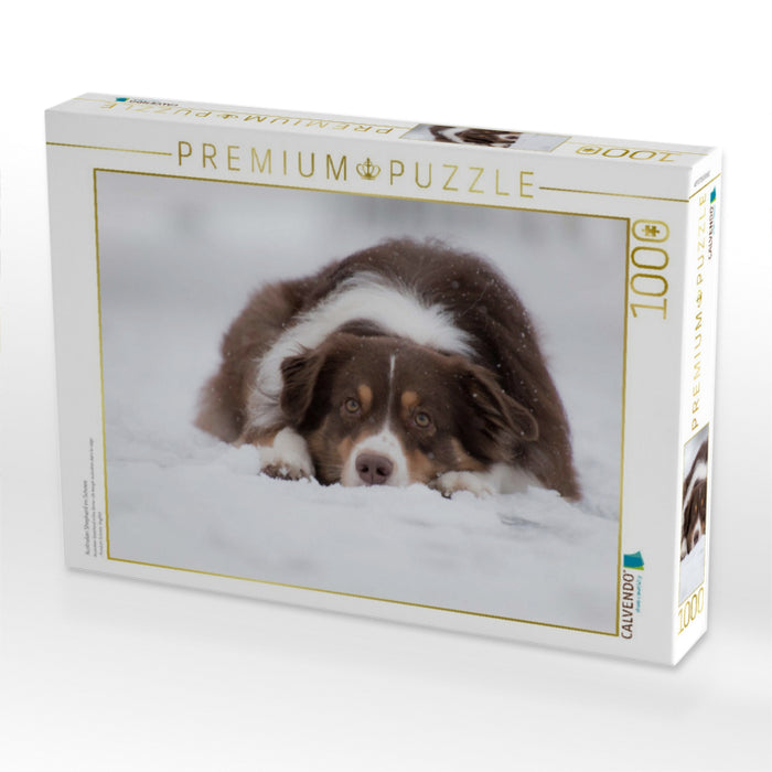 Australian Shepherd im Schnee - CALVENDO Foto-Puzzle'
