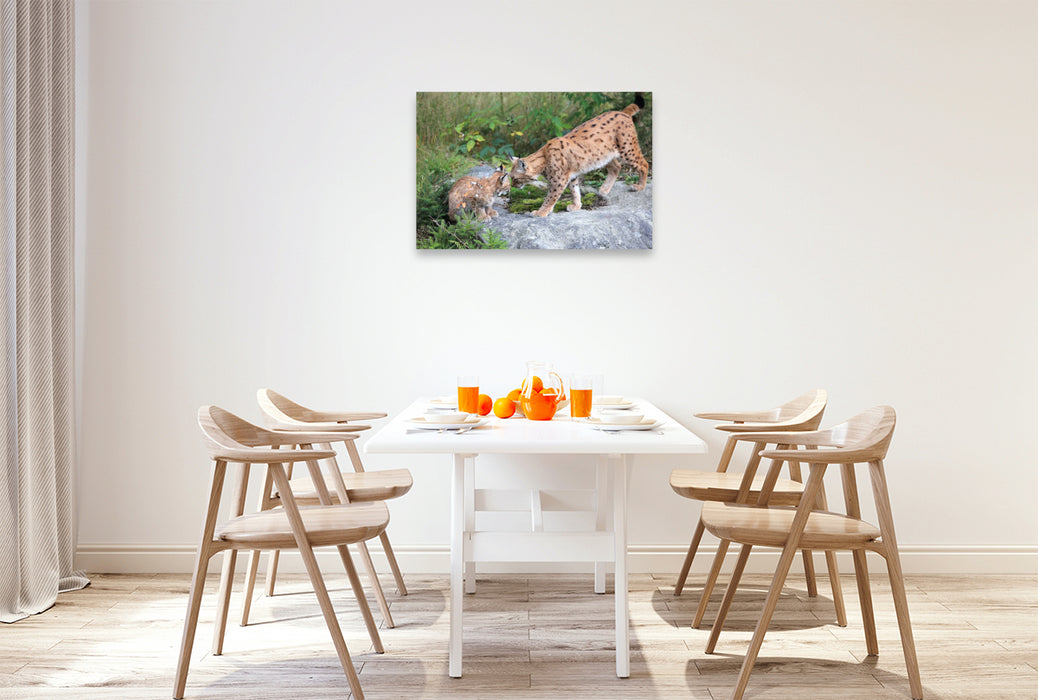 Premium Textil-Leinwand Ein Motiv aus dem Kalender Der Luchs, zurück in den heimischen Wäldern