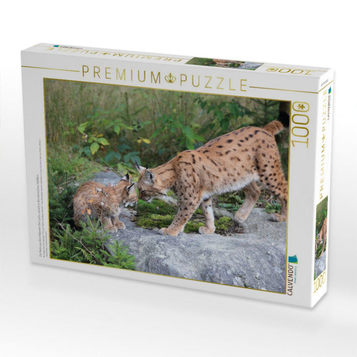 Ein Motiv aus dem Kalender Der Luchs, zurück in den heimischen Wäldern - CALVENDO Foto-Puzzle'