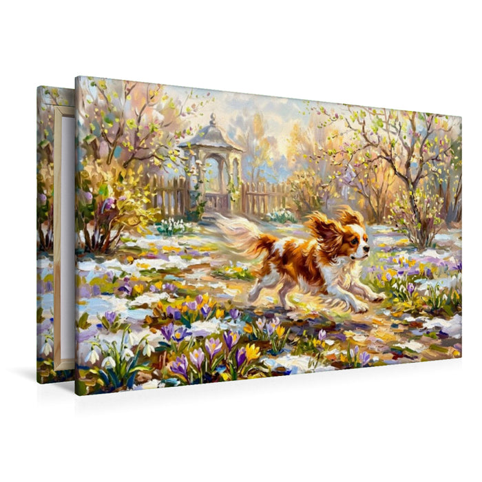 Premium Textil-Leinwand Cavalier Spaniel im Frühlingsgarten unterwegs