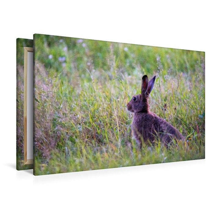 Premium Textil-Leinwand Der Feldhase – Meister der offenen Landschaft