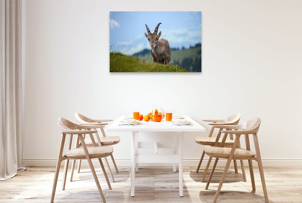 Premium Textil-Leinwand Der Alpensteinbock – die majestätische Seele der Alpen.