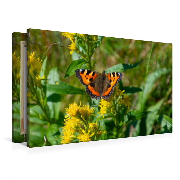 Premium Textil-Leinwand Der Kleine Fuchs – Ein Juwel unserer Natur