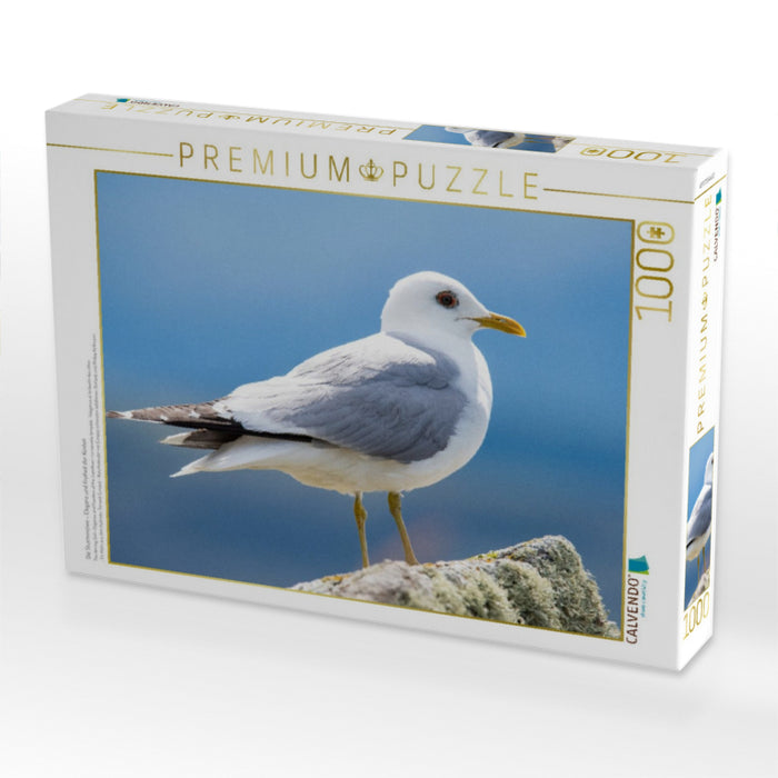 Die Sturmmöwe – Eleganz und Freiheit der Küsten - CALVENDO Foto-Puzzle'